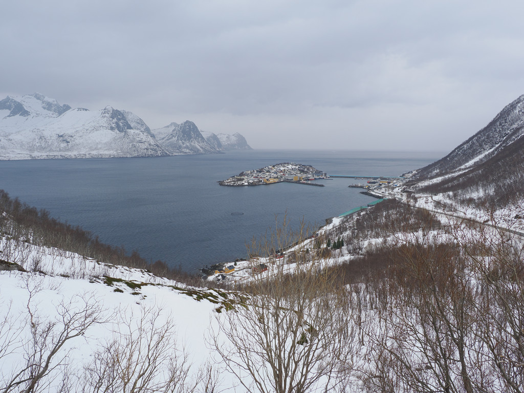 Husøy, Husøy I Senja, Troms, Norvège. 23 mars 2025, 11:23.© Tobias Bührer 2025