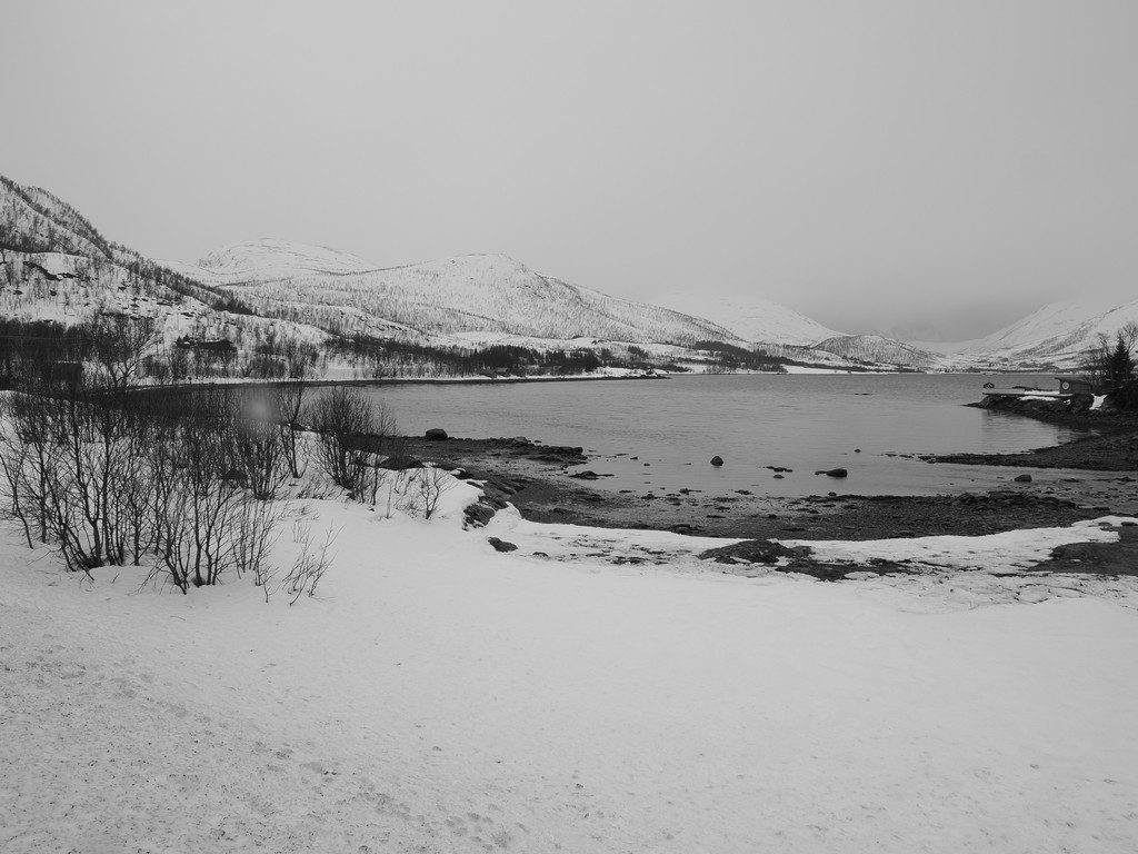 Galnslått, Botnhamn, Troms, Norvège. 23 mars 2025, 13:35.© Tobias Bührer 2025