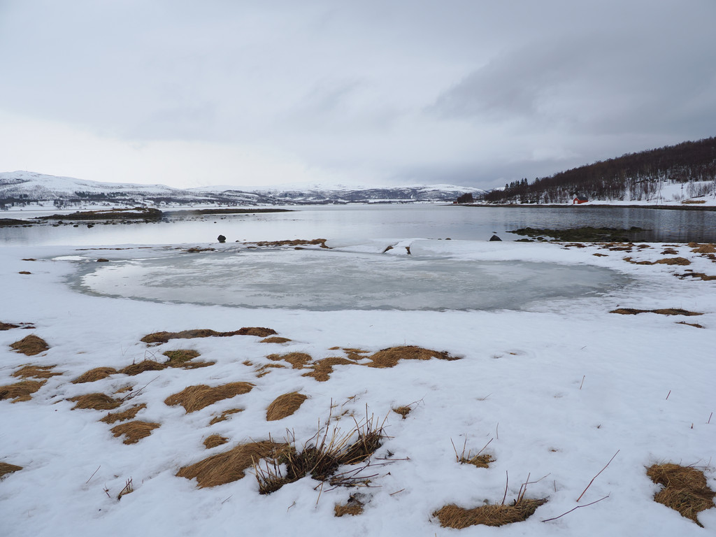 Indre Årnes, Gibostad, Troms, Norvège. 23 mars 2025, 14:23.© Tobias Bührer 2025