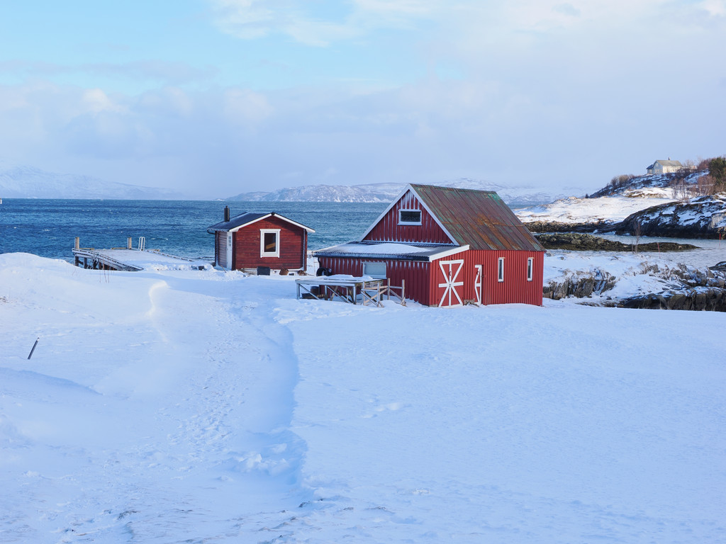 Sand, Botnhamn, Troms, Norvège. 25 mars 2025, 15:18.© Tobias Bührer 2025