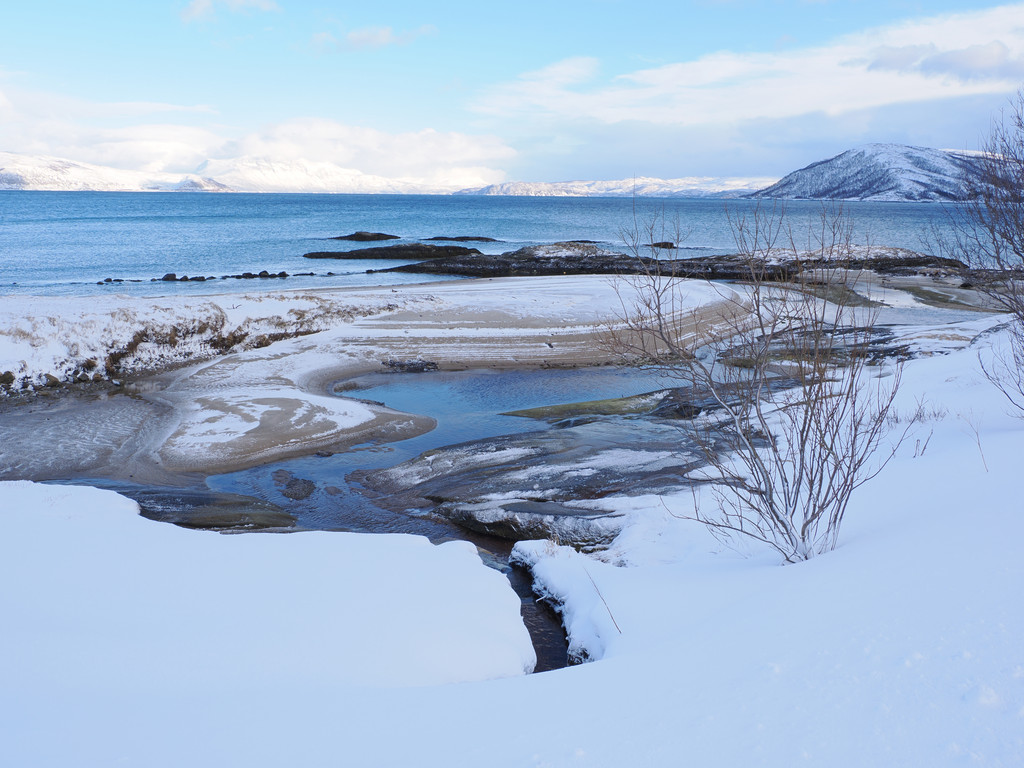 Sand, Botnhamn, Troms, Norvège. 25 mars 2025, 15:51.© Tobias Bührer 2025