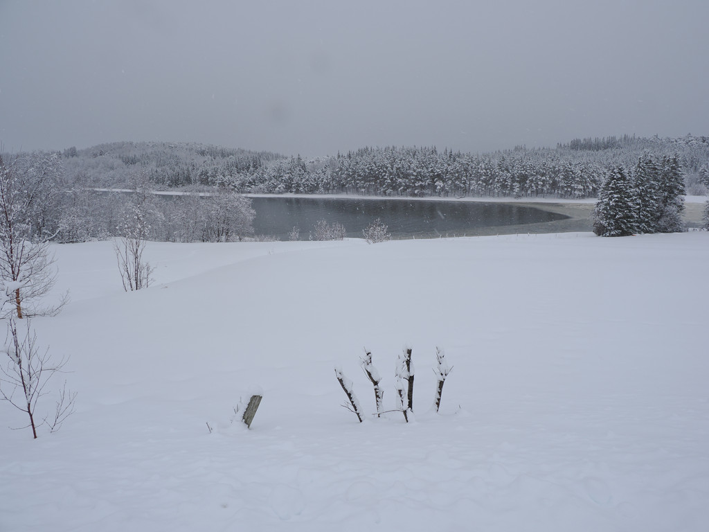 Stangneset, Stonglandseidet, Troms, Norvège. 27 mars 2025, 10:18.© Tobias Bührer 2025