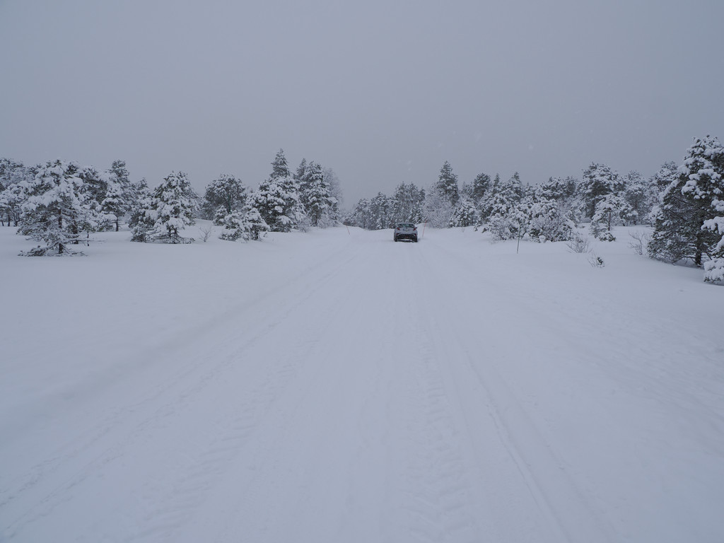 Nylandet, Stonglandseidet, Troms, Norvège. 27 mars 2025, 10:37.© Tobias Bührer 2025