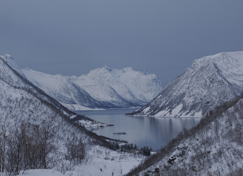 Sifjord, Torsken, Troms, Norvège. 28 mars 2025, 09:35.© Tobias Bührer 2025
