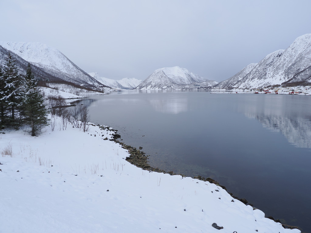 Sifjord, Kaldfarnes, Troms, Norvège. 28 mars 2025, 09:42.© Tobias Bührer 2025