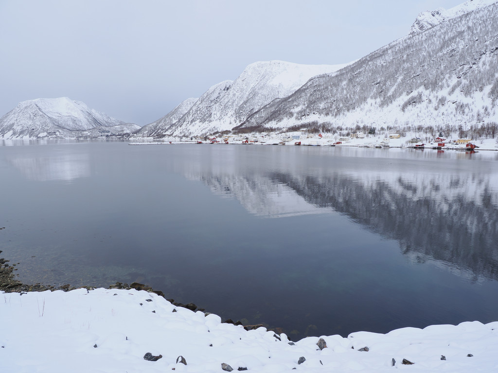 Sifjord, Kaldfarnes, Troms, Norvège. 28 mars 2025, 09:42.© Tobias Bührer 2025