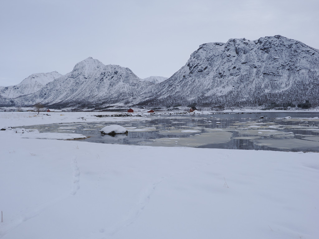 Grunnfarnes, Kaldfarnes, Troms, Norvège. 28 mars 2025, 11:07.© Tobias Bührer 2025