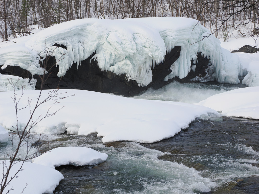 Fosshaug, Bardufoss, Troms, Norvège. 28 mars 2025, 14:58.© Tobias Bührer 2025