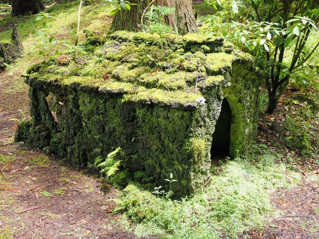 Fajã dos Vimes, Aveiro, Azores - São Jorge, Portugal. 29 juin 2025, 14:04.© Tobias Bührer 2025