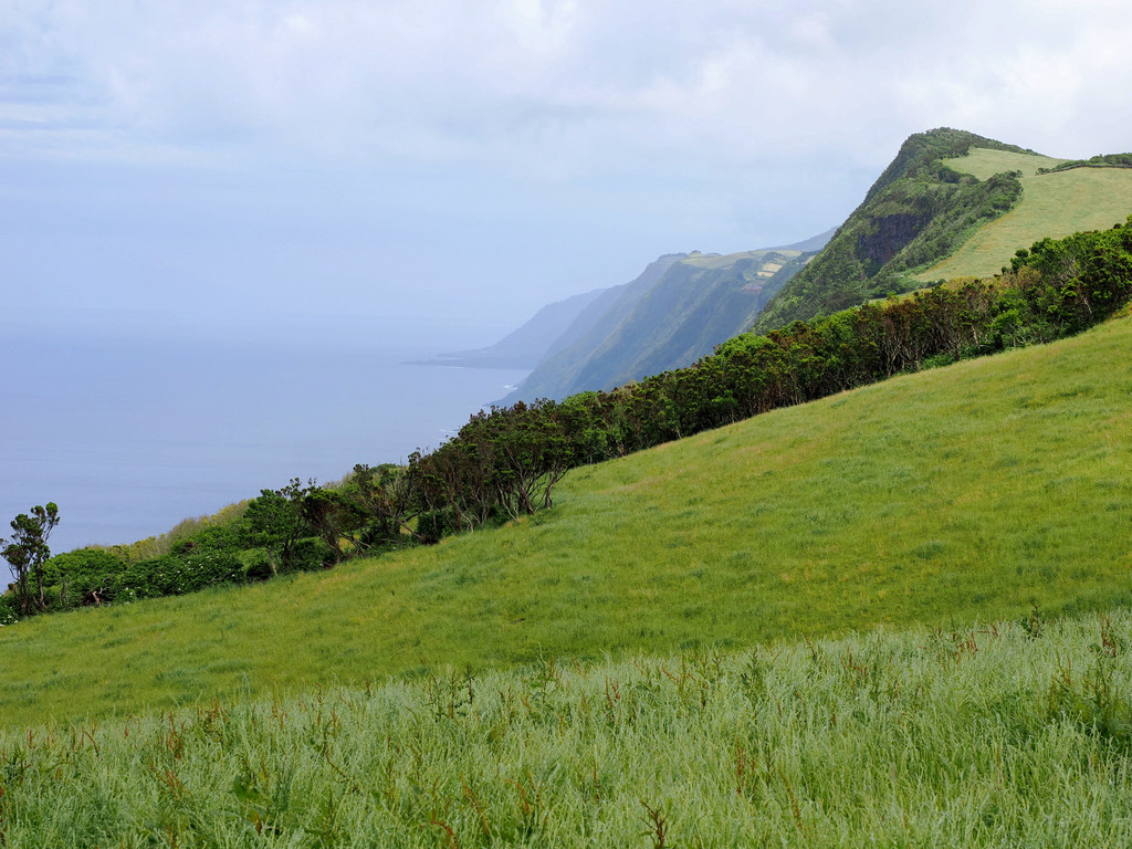 Miradouro Ferrã Alfonso, Pedregulho, Azores - São Jorge, Portugal. 29 juin 2025, 14:24.© Tobias Bührer 2025