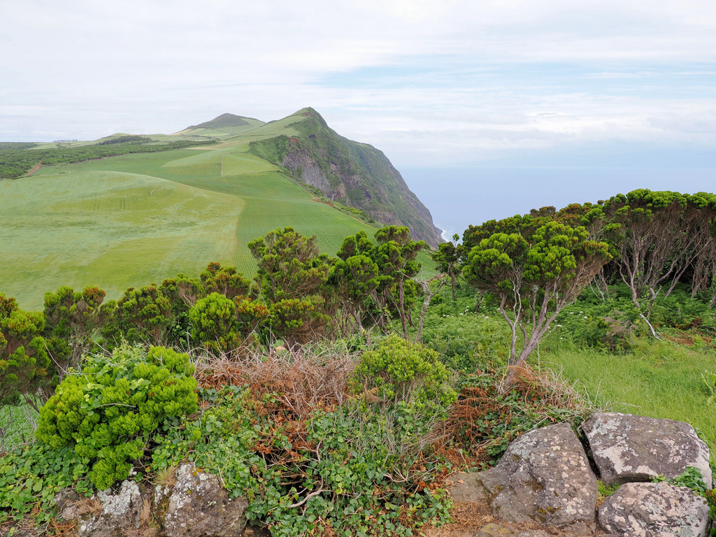 Ponta das Rosais, Pedregulho, Azores - São Jorge, Portugal. 29 juin 2025, 15:53.© Tobias Bührer 2025