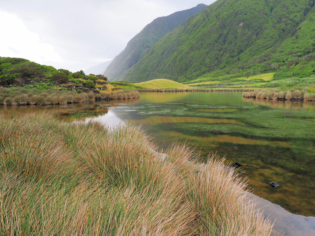 Fajã dos Cubres, Ribeira da Pedra, Azores - São Jorge, Portugal. 30 juin 2025, 10:17.© Tobias Bührer 2025
