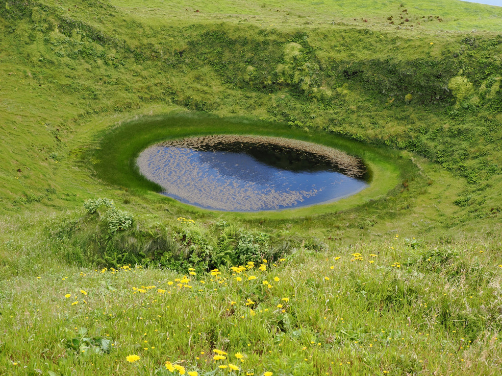 Norte Grande, Fajã de Além, Azores - São Jorge, Portugal. 30 juin 2025, 15:47.© Tobias Bührer 2025