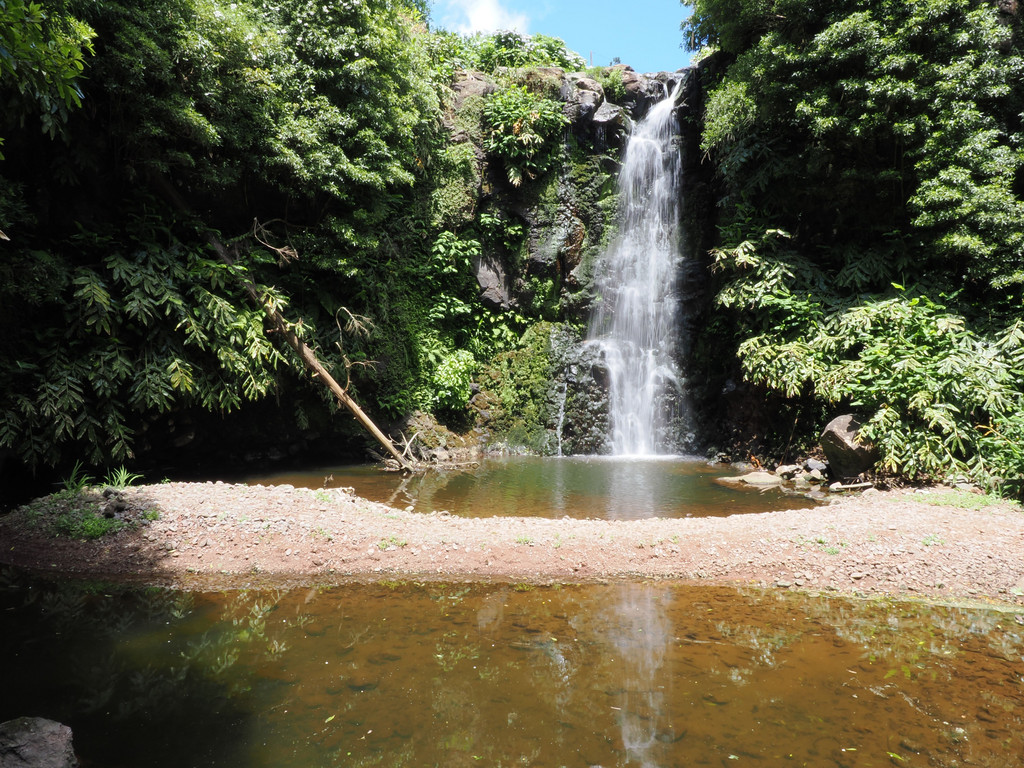 Lameiro, Ribeirinha, Azores - São Jorge, Portugal. 1 juillet 2025, 13:34.© Tobias Bührer 2025