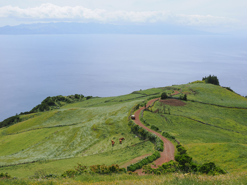 Fajã de São João, Ribeirinha, Azores - São Jorge, Portugal. 1 juillet 2025, 15:35.© Tobias Bührer 2025