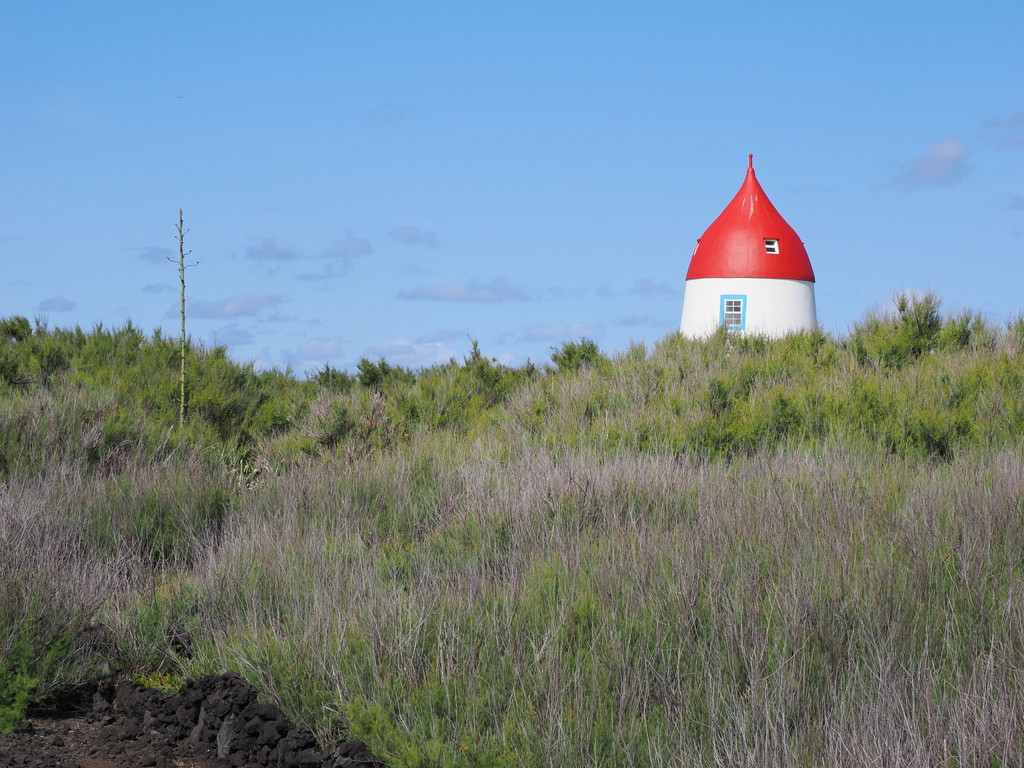 Beira-Mar da Vitória, Graciosa, Azores, Portugal. 2 juillet 2025, 17:27.© Tobias Bührer 2025