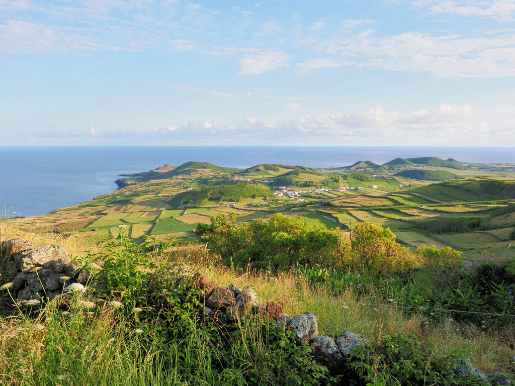 Ponta Branca, Graciosa, Azores, Portugal. 3 juillet 2025, 07:50.© Tobias Bührer 2025