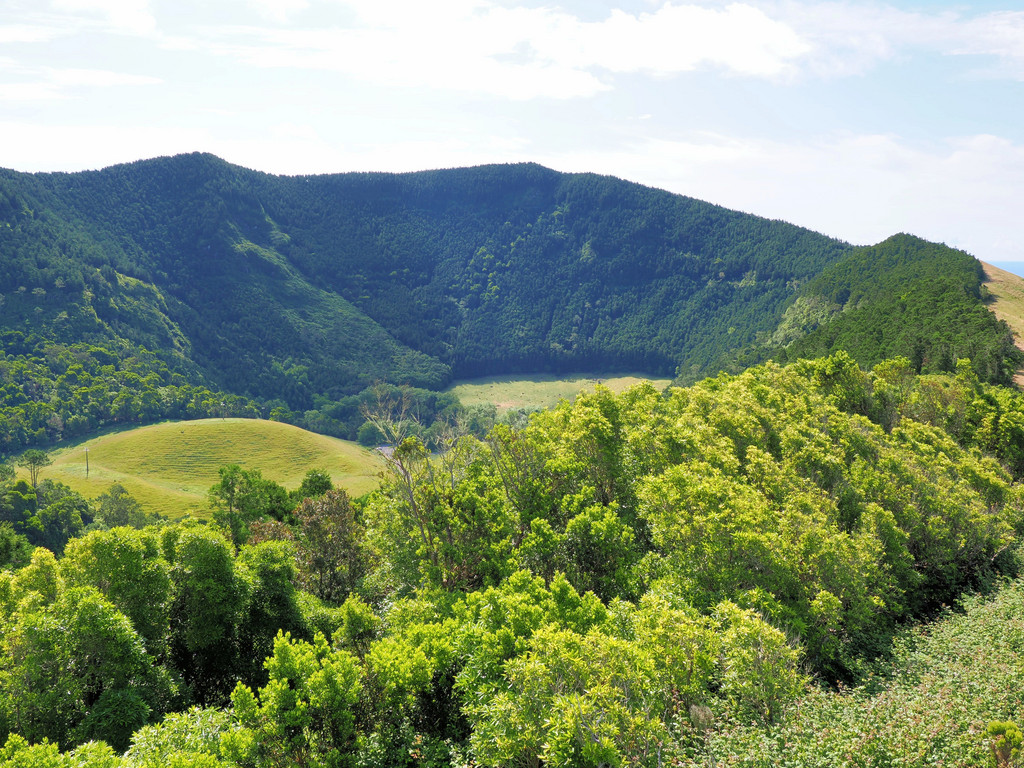 Beco, Graciosa, Azores, Portugal. 3 juillet 2025, 10:23.© Tobias Bührer 2025