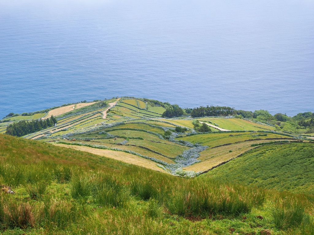 Miradouro Monte Gordo, Corvo, Azores, Portugal. 7 juillet 2025, 13:06.© Tobias Bührer 2025
