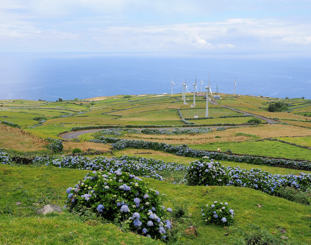 Estrado do Caldeirão, Corvo, Azores, Portugal. 7 juillet 2025, 13:36.© Tobias Bührer 2025