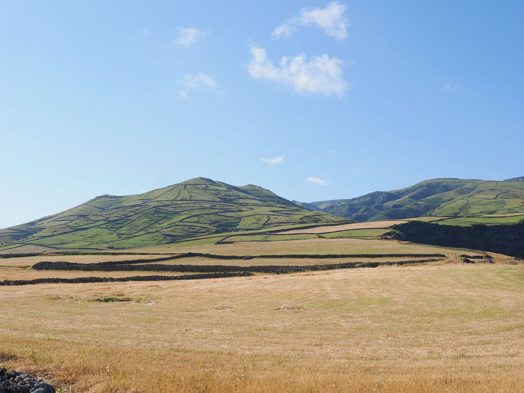 Ponta de Albernaz, Ponta Delgada, Açores - Flores, Portugal. 8 juillet 2025, 09:35.© Tobias Bührer 2025