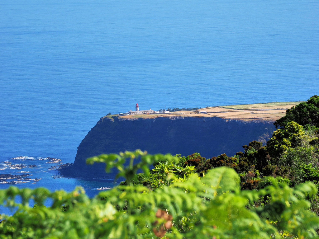 Ponta da Fajã, Ponta Delgada, Açores - Flores, Portugal. 8 juillet 2025, 10:45.© Tobias Bührer 2025