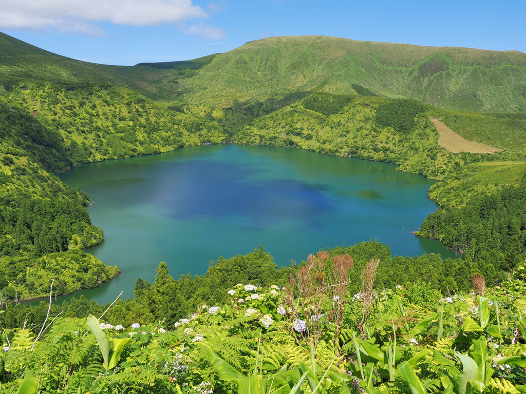 Lajedo, Outeiro, Açores - Flores, Portugal. 8 juillet 2025, 15:51.© Tobias Bührer 2025