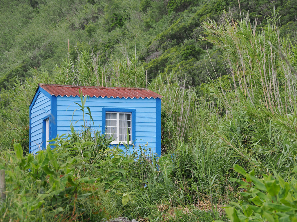 Fajã de Longo Vaz, Outeiro, Açores - Flores, Portugal. 9 juillet 2025, 10:24.© Tobias Bührer 2025