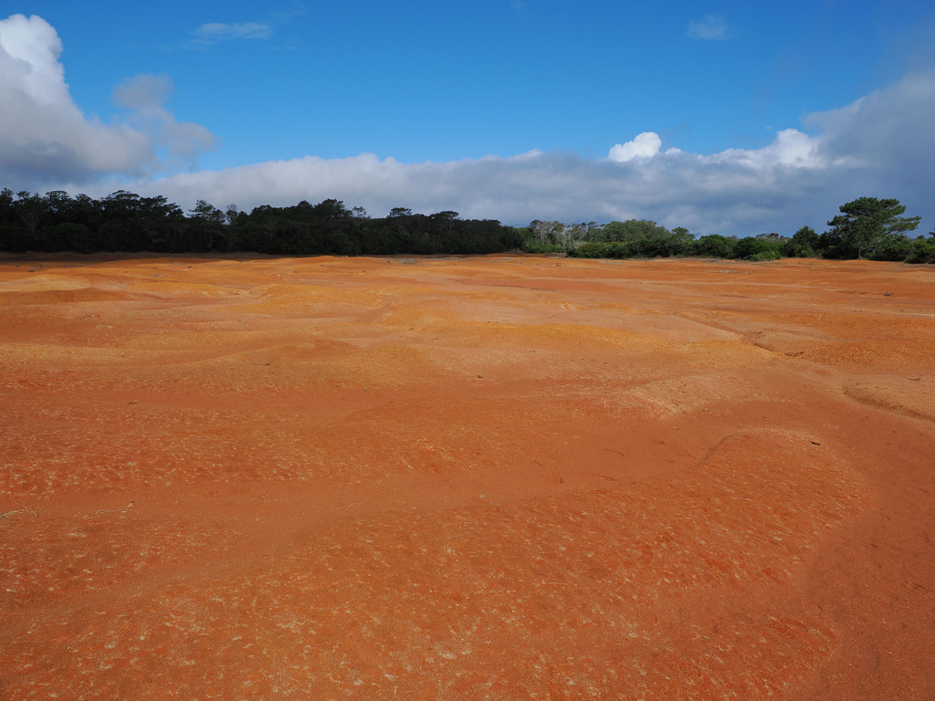 Barreiro da Faneca, Paúl de Cima, Azores - Santa Maria, Portugal. 10 juillet 2025, 09:58.© Tobias Bührer 2025