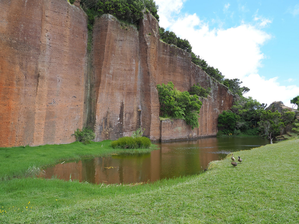 Santa Bárbara, São Lourenço, Azores - Santa Maria, Portugal. 11 juillet 2025, 12:57.© Tobias Bührer 2025