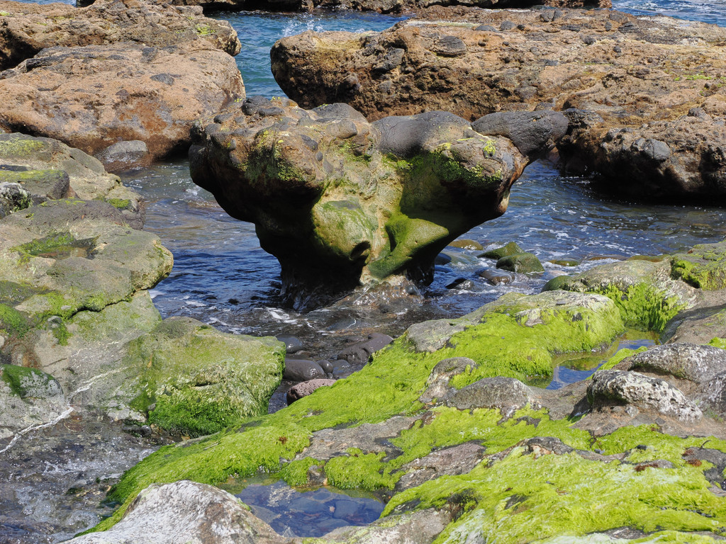Baia do Raposo, Pilar, Azores - Santa Maria, Portugal. 13 juillet 2025, 11:38.© Tobias Bührer 2025