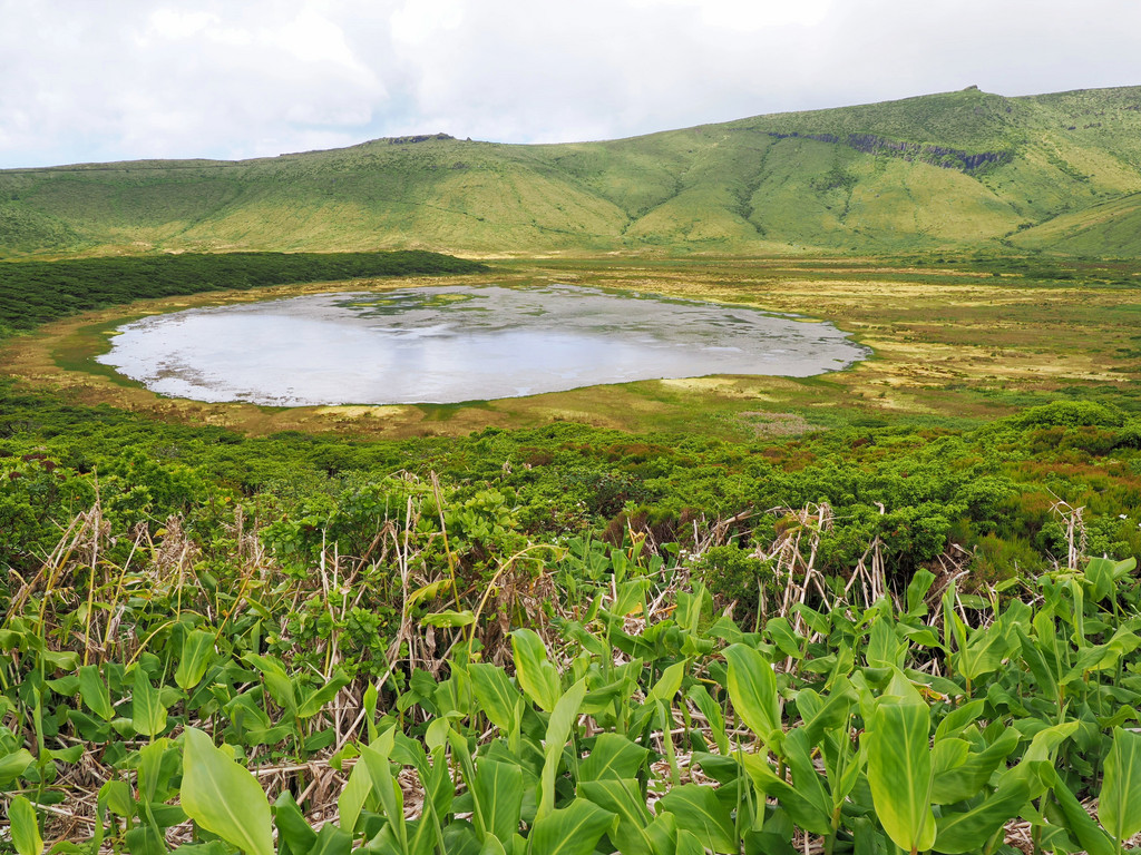 Fajazinha, Fontinha, Açores - Flores, Portugal. 5 juillet 2025, 15:03.© Tobias Bührer 2025