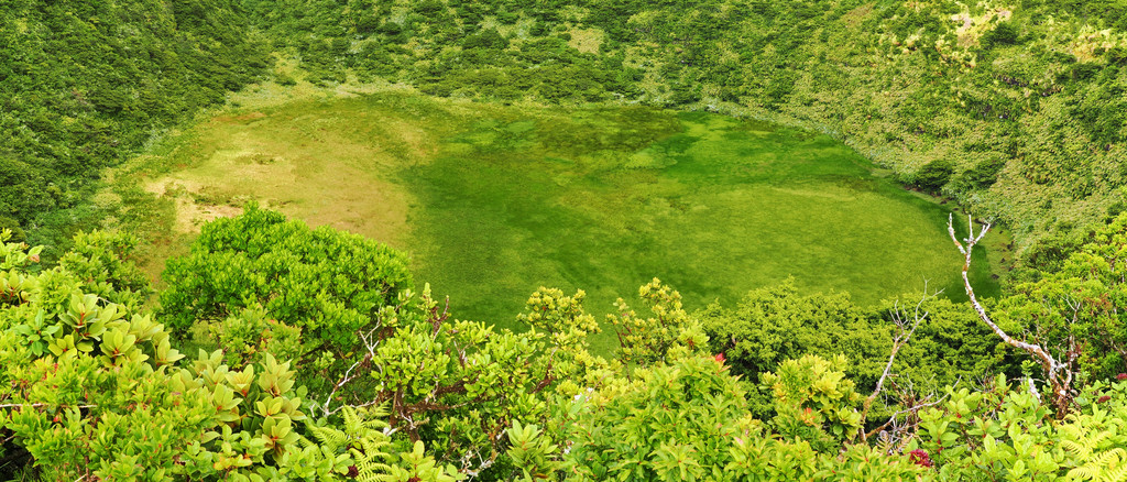 Fajazinha, Fontinha, Açores - Flores, Portugal. 5 juillet 2025, 15:32.© Tobias Bührer 2025