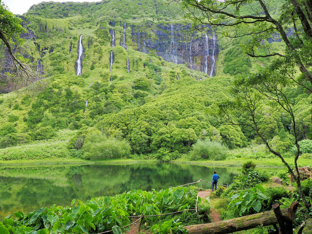 Fajazinha, Outeiro, Açores - Flores, Portugal. 6 juillet 2025, 09:31.© Tobias Bührer 2025
