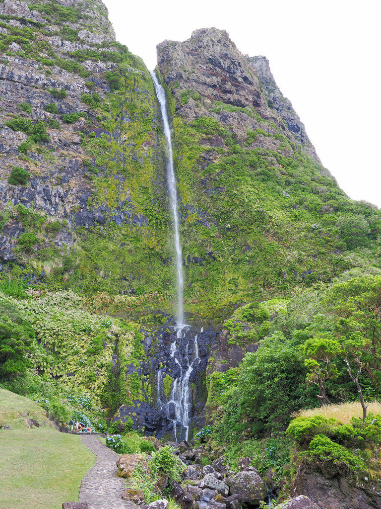Fajã Grande, Fajã Grande, Açores - Flores, Portugal. 6 juillet 2025, 10:23.© Tobias Bührer 2025