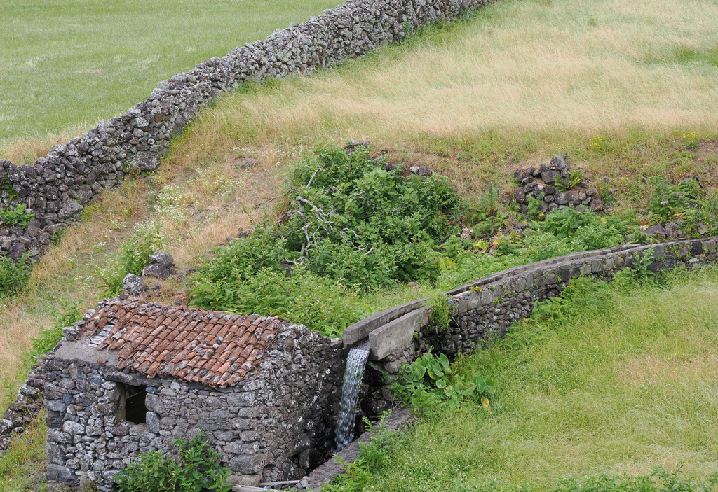 Fajã Grande, Fajã Grande, Açores - Flores, Portugal. 6 juillet 2025, 10:42.© Tobias Bührer 2025