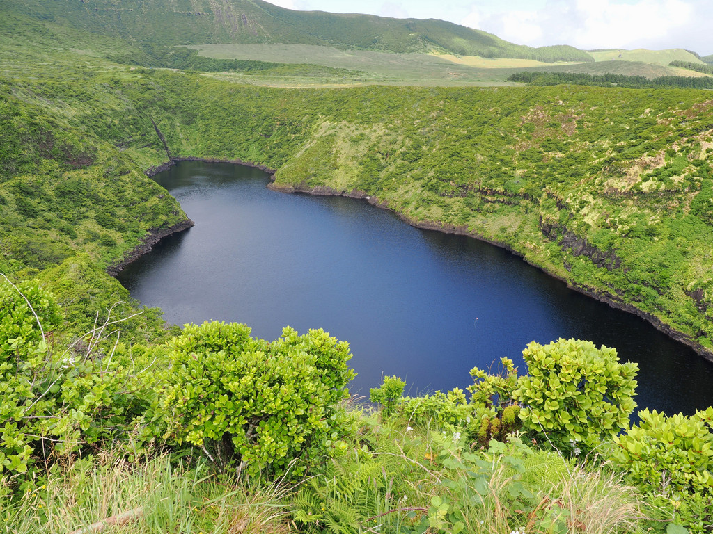 Fajazinha, Ladeira, Açores - Flores, Portugal. 6 juillet 2025, 15:34.© Tobias Bührer 2025